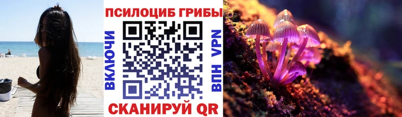 Псилоцибиновые грибы Psilocybine cubensis  Купить где  Пионерский 
