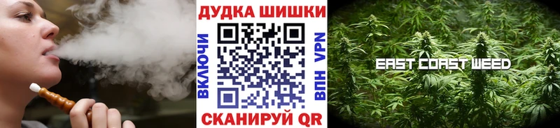 Конопля Bruce Banner  Купить где  Пионерский 